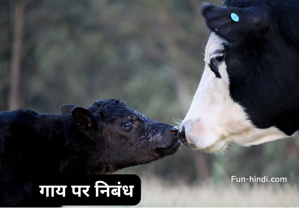 गाय पर निबंध | essay on cow