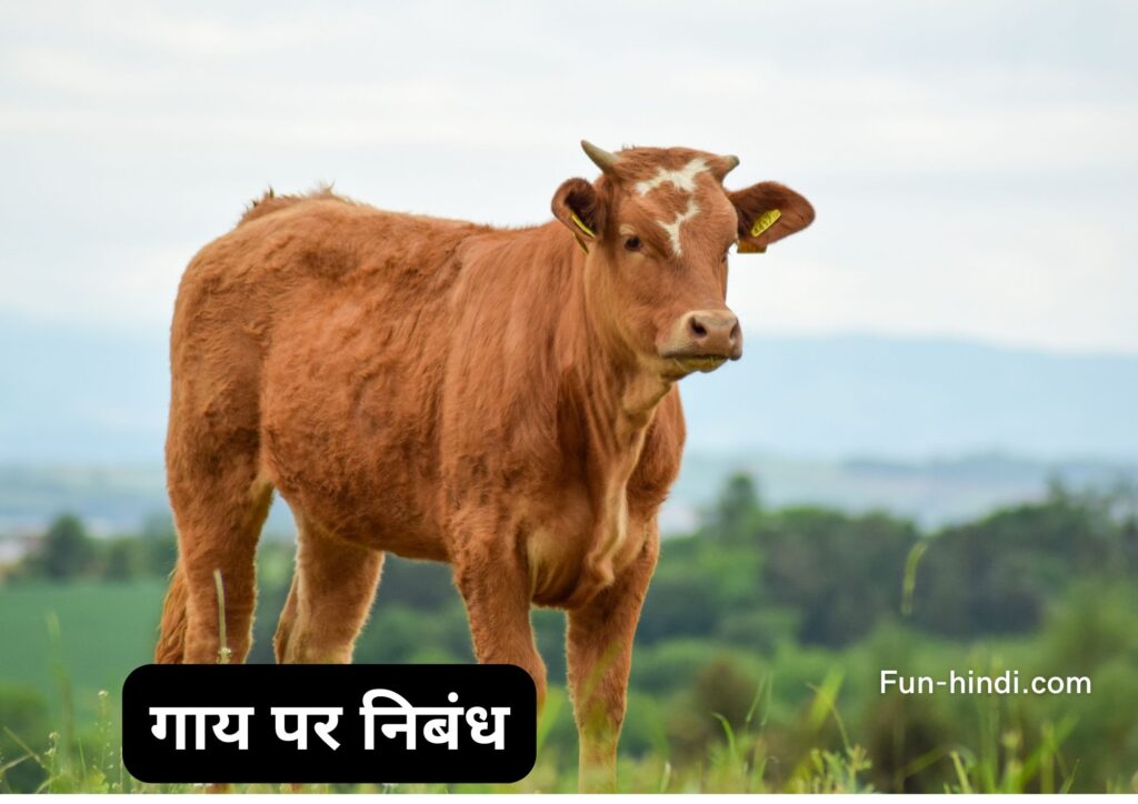 गाय पर निबंध | essay on cow