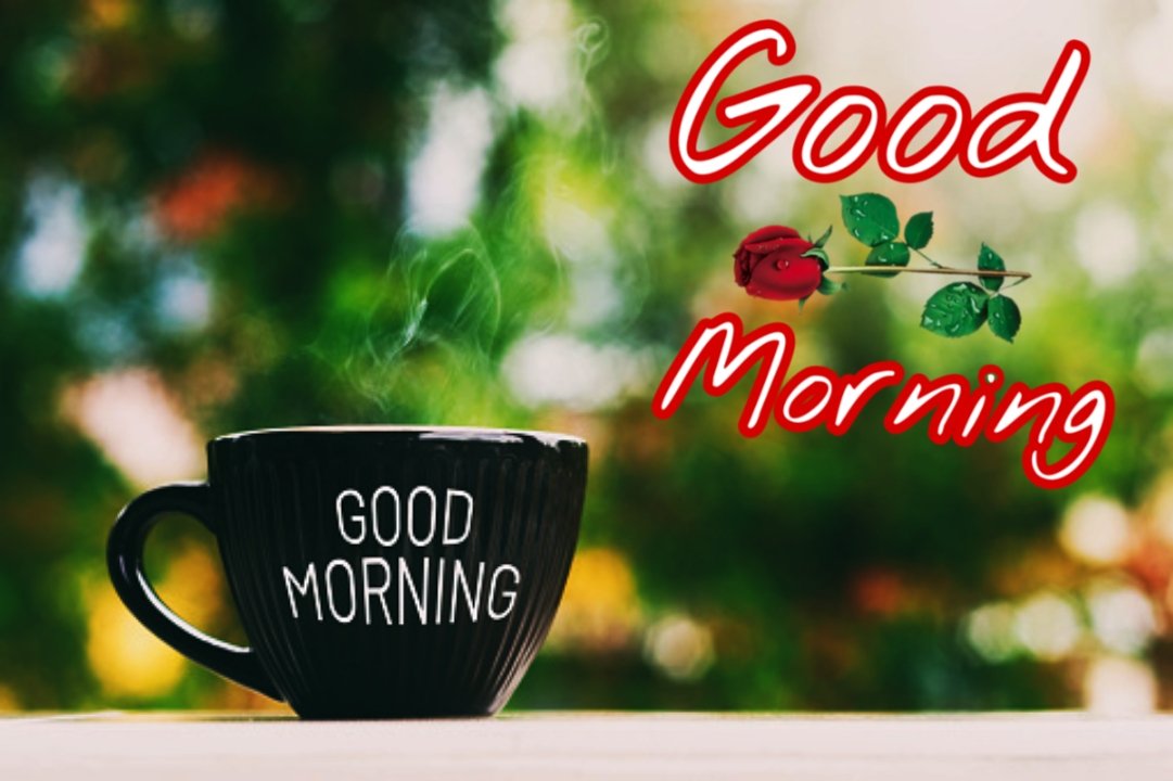 Good Morning Quotes in English