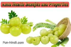 Health Benefits and Properties in Indian Gooseberry Amla Health Benefits