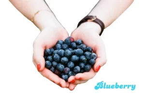 Health benefits of Blueberry fruit