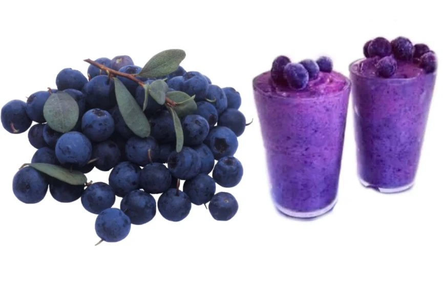 Health benefits of Blueberry fruit