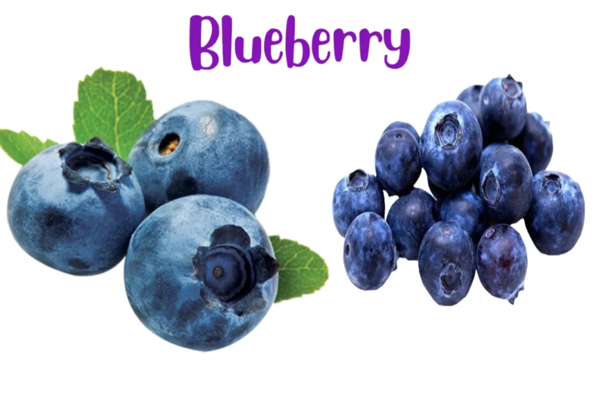 Health benefits of Blueberry fruit
