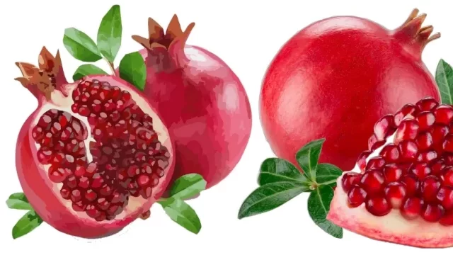 Health Benefits and disadvantages of eating Pomegranate Juice