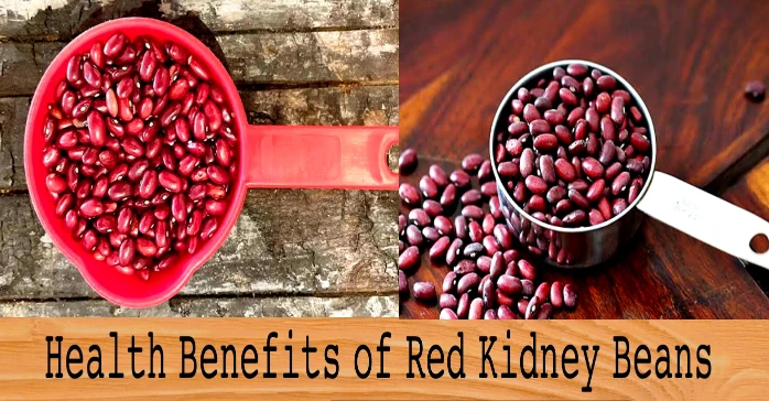 Health Benefits of (Rajma) Red Kidney Beans In English