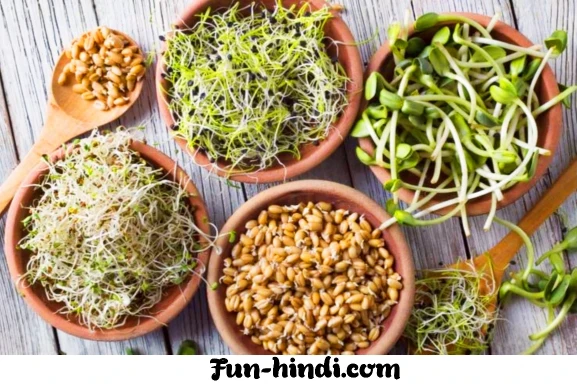 Sprouts Benefits And Side Effects in English