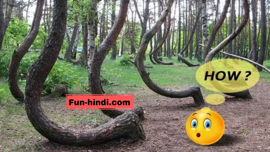 amazing facts in Hindi about nature