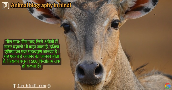 Animal biography in hindi | जानवरों की जीवनी