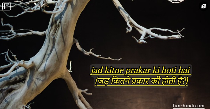 jad kitne prakar ki hoti hai (जड़ कितने प्रकार की होती है?)
