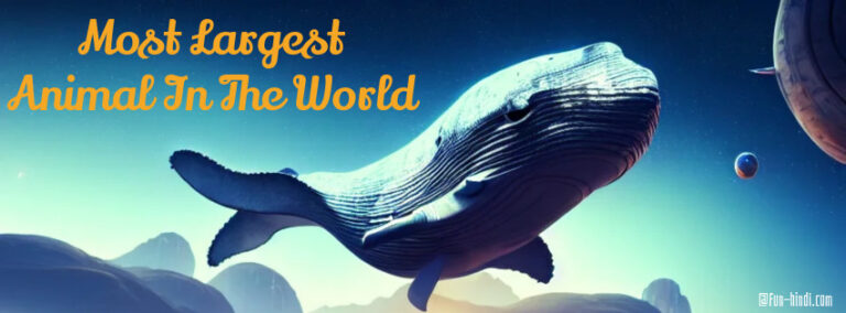 Top 10 Most Largest Animal In The World