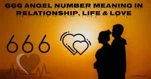 666 Angel Number Meaning in Relationship, Life & Love