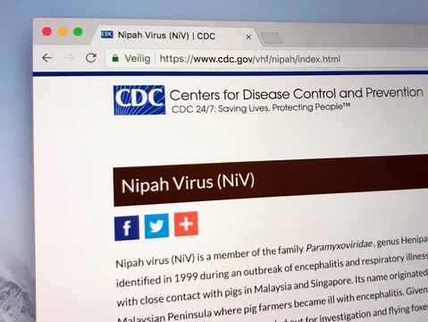 Nipah Virus, Nipah Virus Origin