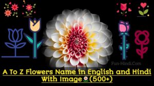 A To Z Flowers Name in English and Hindi With ImageðŸŒ¼