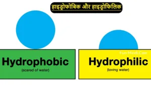 Hydrophobic Aur Hydrophilic