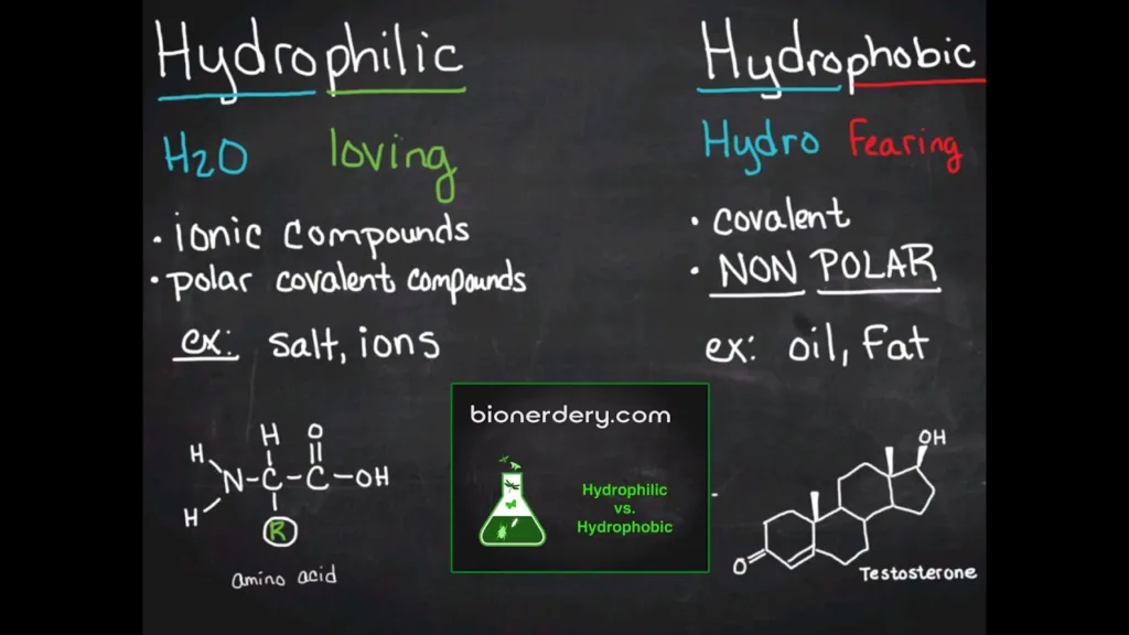 Hydrophobic Aur Hydrophilic