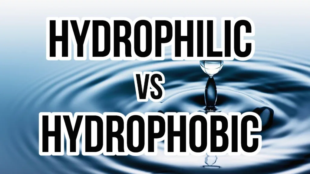 Hydrophobic Aur Hydrophilic