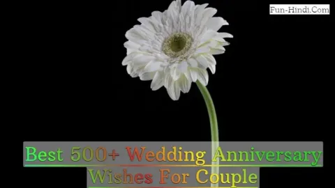 Best 500+ Wedding Anniversary Wishes For Couple